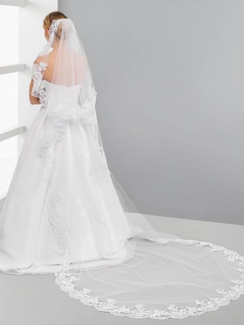 VEILS-W132